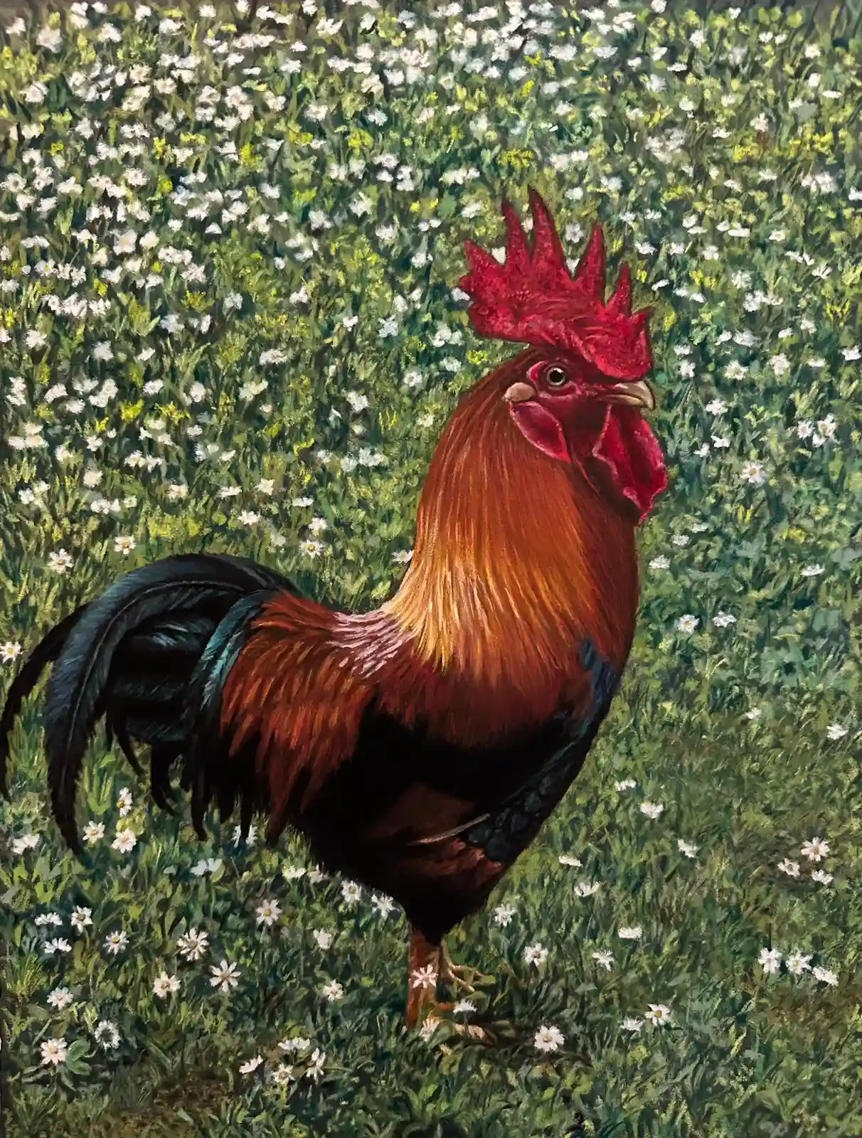 Ritrae un gallo in primo piano, inserito in un contesto naturalistico. La scena è dominata da un tappeto fiorito costellato da innumerevoli piccoli fiori bianchi.