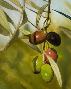 Ramo d'Ulivo,In primo piano, si distingue chiaramente un grappolo di olive in vari stadi di maturazione. Alcune sono di un verde brillante e lucido, catturando la luce con riflessi evidenti, suggerendo freschezza e vitalità. Altre olive mostrano una transizione di colore, virando verso tonalità più scure di rosso-marrone e viola, fino ad arrivare a una quasi completamente nera, indicando la piena maturazione. Le superfici delle olive sono rese con textures che ne evidenziano la rotondità e la consistenza.